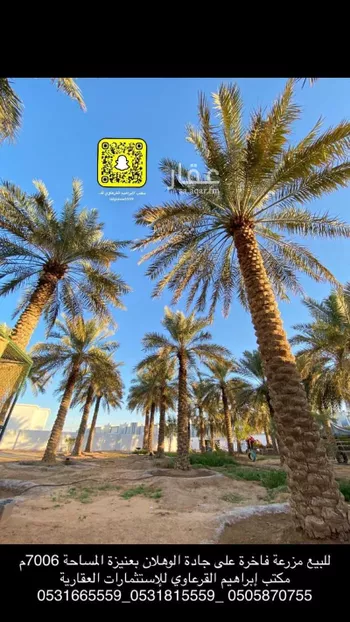 مزرعة للبيع في شارع جادة الوهلان, حي الوهلان, مدينة عنيزه, منطقة القصيم صورة 4