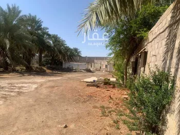 مزرعة للبيع في شارع عثمان ابن عفان, حي وادي الحمض, مدينة المدينه المنوره, منطقة المدينة المنورة صورة 3
