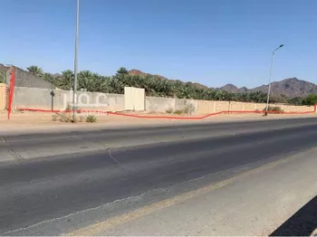 مزرعة للبيع في شارع عثمان ابن عفان, حي وادي الحمض, مدينة المدينه المنوره, منطقة المدينة المنورة