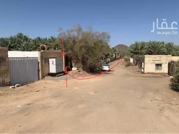 مزرعة للبيع في شارع عثمان ابن عفان, حي وادي الحمض, مدينة المدينه المنوره, منطقة المدينة المنورة صورة 2