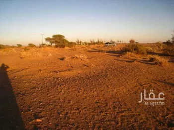 مزرعة للبيع في شارع شارع, حي الصويدرة, مدينة المدينه المنوره, منطقة المدينة المنورة صورة 3
