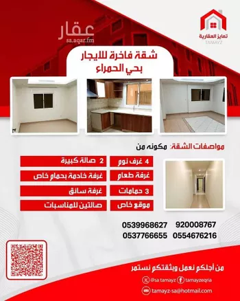 شقة للإيجار في شارع حسين الشبكشي, حي الحمراء, مدينة جدة, منطقة مكة المكرمة