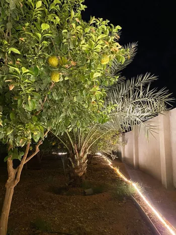 مزرعة للبيع في حي هجره الذيبيه وخضراء, مدينة هجره الذيبيه وخضراء, منطقة الرياض صورة 3