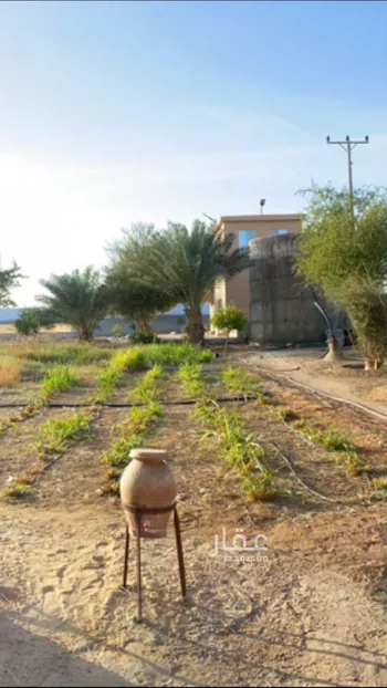 مزرعة للبيع في حي هجره الذيبيه وخضراء, مدينة هجره الذيبيه وخضراء, منطقة الرياض صورة 5