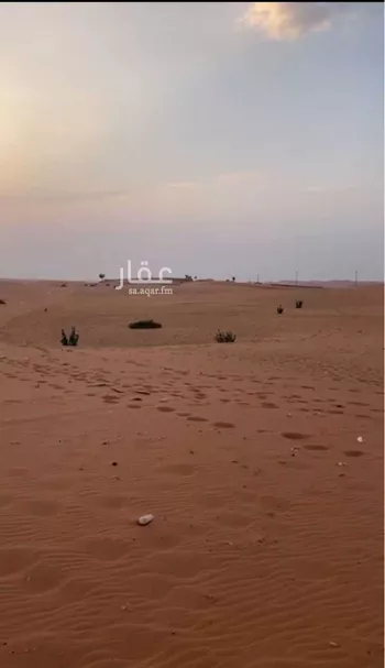 أرض للبيع في شارع هجره الذيبيه وخضراء 555, حي المشاعله, مدينة المشاعله, منطقة الرياض صورة 2