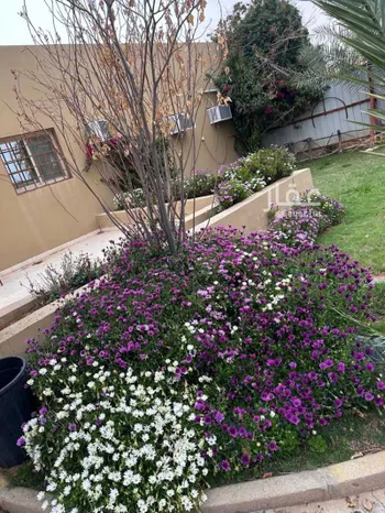 مزرعة للبيع في شارع شارع 30, حي مزارع الخاصرة, مدينة مزارع الخاصرة, منطقة حائل