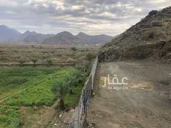 أرض للبيع في شارع 000, حي ابو كبير, مدينة ابو كبير, منطقة مكة المكرمة صورة 2