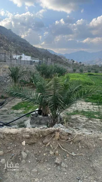 أرض للبيع في شارع 000, حي ابو كبير, مدينة ابو كبير, منطقة مكة المكرمة صورة 4