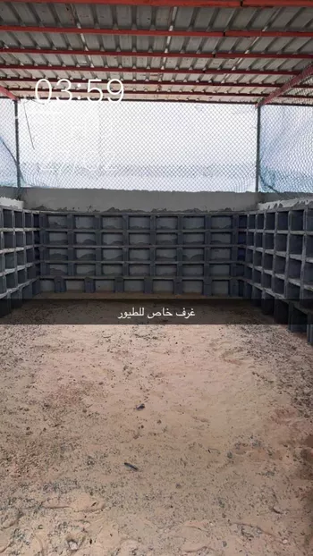 مزرعة للبيع في حي السديره, مدينة السديره, المنطقة الشرقية صورة 3