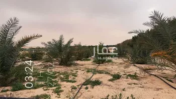مزرعة للبيع في حي السديره, مدينة السديره, المنطقة الشرقية صورة 5