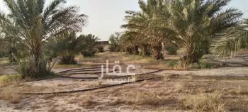 مزرعة للبيع في شارع عبدالله بن عبدالعزيز ، التويم ، المجمعة صورة 4