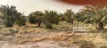 مزرعة للبيع في شارع عبدالله بن عبدالعزيز ، التويم ، المجمعة