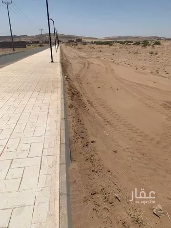 مزرعة للبيع في المملكة العربية السعودية صورة 3
