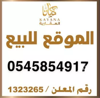 أرض للبيع في شارع قاسم زينه ، حي الروضة ، جدة ، جدة