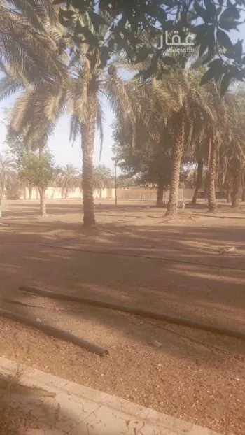 أرض للإيجار في شارع ديراب, مدينة قريه ديراب, منطقة الرياض صورة 4