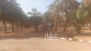 أرض للإيجار في شارع ديراب, مدينة قريه ديراب, منطقة الرياض