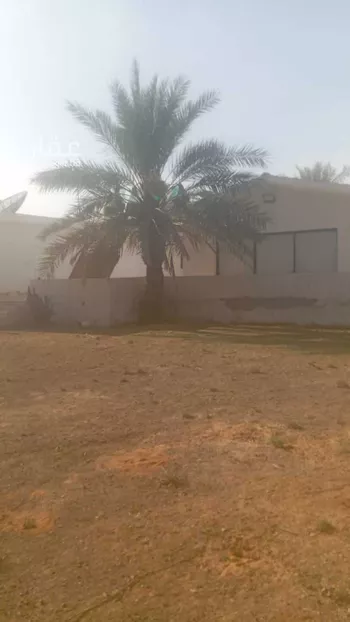 أرض للإيجار في شارع ديراب, مدينة قريه ديراب, منطقة الرياض صورة 3