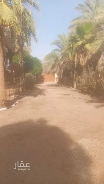 أرض للإيجار في شارع ديراب, مدينة قريه ديراب, منطقة الرياض صورة 5