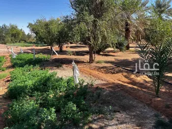 مزرعة للبيع في شارع ياسر بن مالك, حي تبراك, مدينة الجله, منطقة الرياض صورة 2