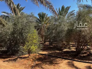 مزرعة للبيع في شارع ياسر بن مالك, حي تبراك, مدينة الجله, منطقة الرياض صورة 5
