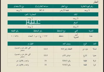 أرض للإيجار في شارع رافع الاشجعي, حي أبحر الجنوبية, مدينة جدة, منطقة مكة المكرمة صورة 2