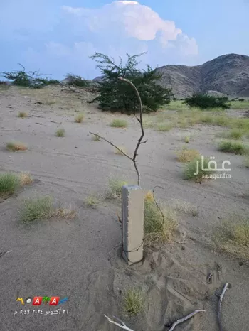 أرض للبيع في شارع عروه بن اذينه, حي شعب عامر , مدينة مكه المكرمه, منطقة مكة المكرمة صورة 3