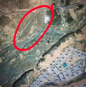 مزرعة للبيع في حي الخضراء, مدينة المدينه المنوره, منطقة المدينة المنورة