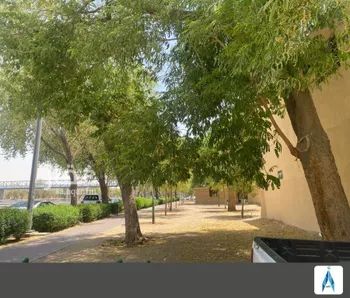 دور للإيجار في شارع ممر58, حي الشميسي, مدينة الرياض, منطقة الرياض صورة 3