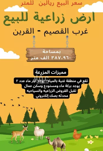 أرض للبيع في مدينة عيون الجواء, منطقة القصيم