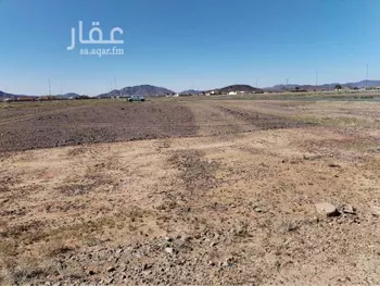 أرض للبيع في شارع ال الذيب العليا 2104 ، حي الموسى ، خميس مشيط ، خميس مشيط صورة 3