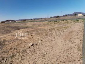 أرض للبيع في شارع ال الذيب العليا 2104 ، حي الموسى ، خميس مشيط ، خميس مشيط صورة 4