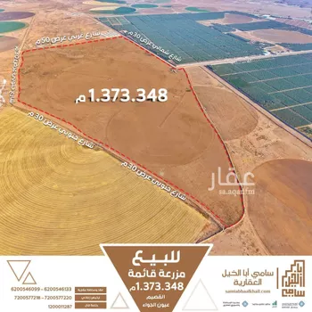 مزرعة للبيع في شارع شارع, مدينة عيون الجواء, منطقة القصيم