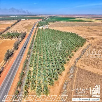 مزرعة للبيع في شارع شارع, مدينة عيون الجواء, منطقة القصيم صورة 4