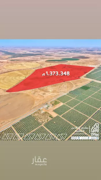 مزرعة للبيع في شارع شارع, مدينة عيون الجواء, منطقة القصيم صورة 5