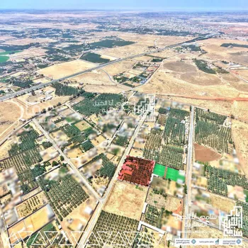 مزرعة للبيع في شارع النخيل 8, حي النخيل, مدينة البكيريه, منطقة القصيم صورة 4