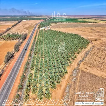 مزرعة للبيع في شارع شارع, مدينة عيون الجواء, منطقة القصيم صورة 4