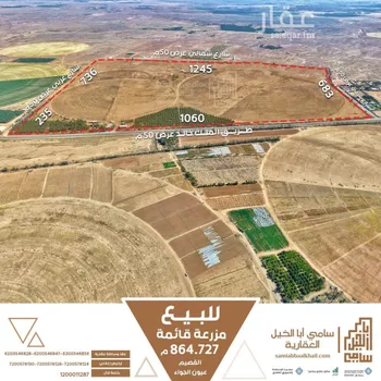 مزرعة للبيع في شارع شارع, مدينة عيون الجواء, منطقة القصيم