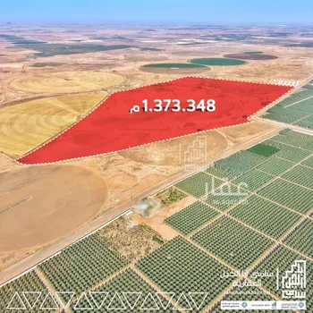 مزرعة للبيع في شارع شارع, مدينة عيون الجواء, منطقة القصيم صورة 3