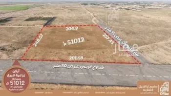 أرض للبيع في شارع شارع, مدينة البكيريه, منطقة القصيم