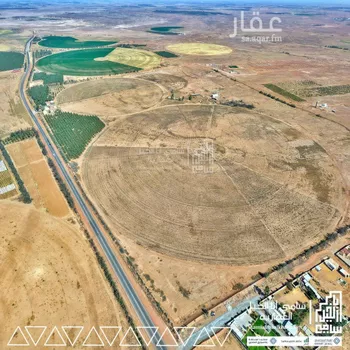 مزرعة للبيع في شارع شارع, مدينة عيون الجواء, منطقة القصيم صورة 3