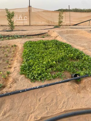 أرض للإيجار في حي حلوان, مدينة حلوان, منطقة الرياض صورة 3