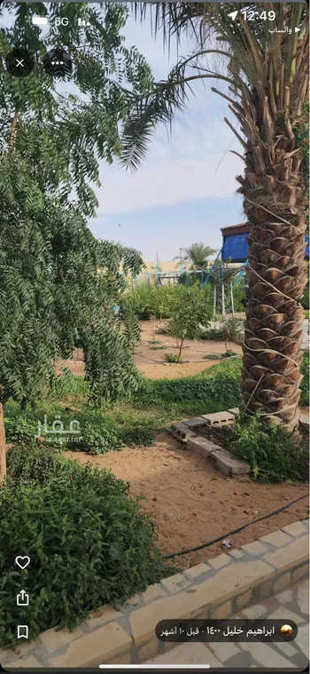 استراحة للإيجار في شارع الضبيعة 12, حي الضبيعة, مدينة الخرج, منطقة الرياض صورة 5