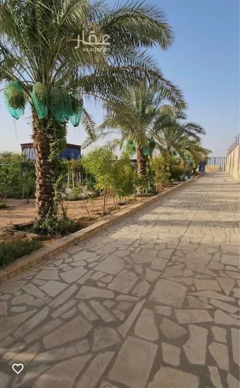 استراحة للإيجار في شارع الضبيعة 12, حي الضبيعة, مدينة الخرج, منطقة الرياض صورة 3