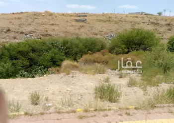 مزرعة للبيع في شارع الملك عبدالعزيز (العام الطائف -الباحه), مدينة محويه, منطقة الباحة صورة 2