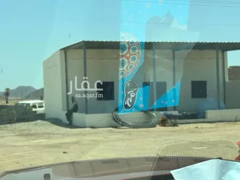 مزرعة للبيع في حي المليليح, مدينة المدينه المنوره, منطقة المدينة المنورة صورة 4