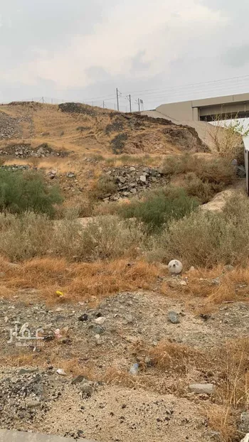 أرض للبيع في حي الملك فهد, مدينة مكه المكرمه, منطقة مكة المكرمة صورة 3