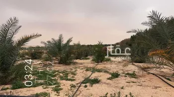 مزرعة للبيع في حي السديره, مدينة السديره, المنطقة الشرقية