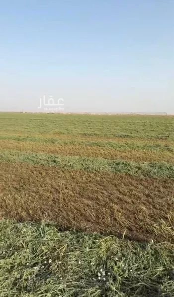 مزرعة للبيع في شارع القصيم, حي الشغوة, مدينة الشغوة, منطقة حائل صورة 3