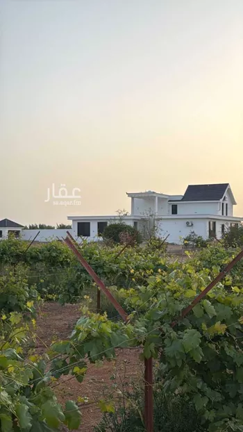 مزرعة للبيع في شارع القصيم, حي الشغوة, مدينة الشغوة, منطقة حائل