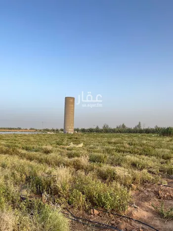 أرض للإيجار في شارع المقدام, حي الضلفعه, مدينة الضلفعه, منطقة القصيم صورة 4